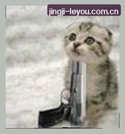 周强