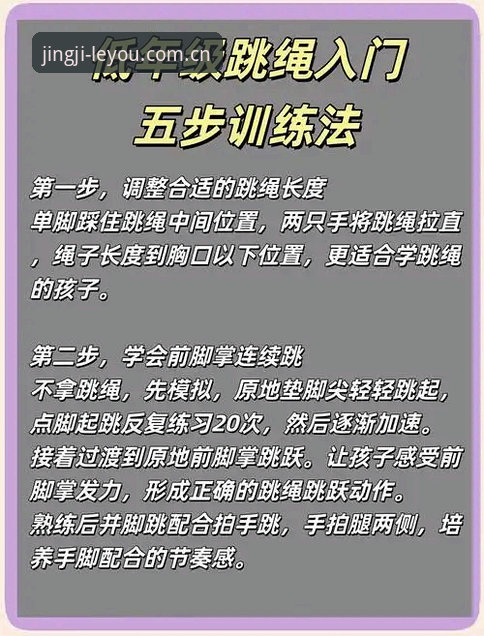 乐游体育平台安全使用教程 · 从入门到精通的操作指南