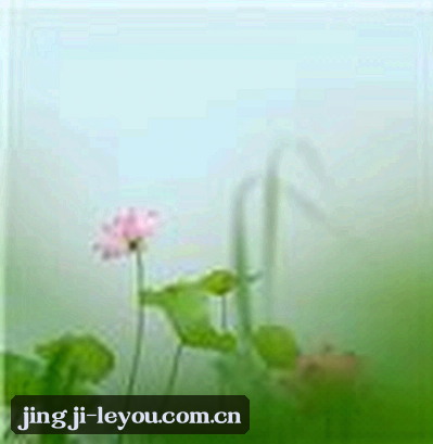 王珊